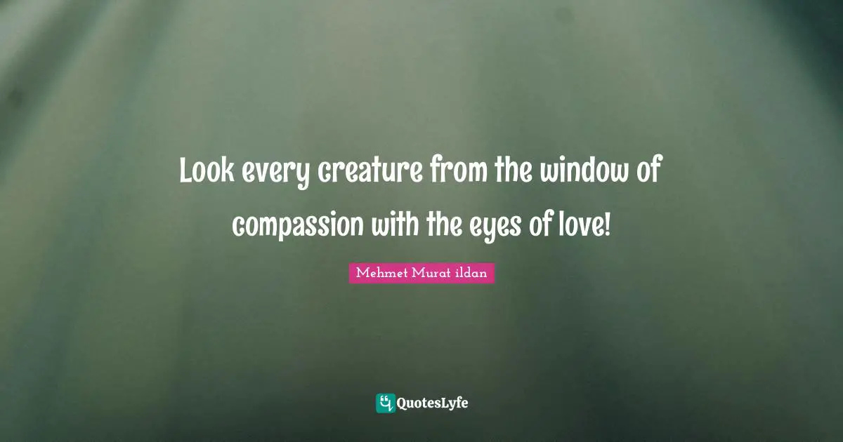 Look every creature from the window of compassion with the eyes of love!