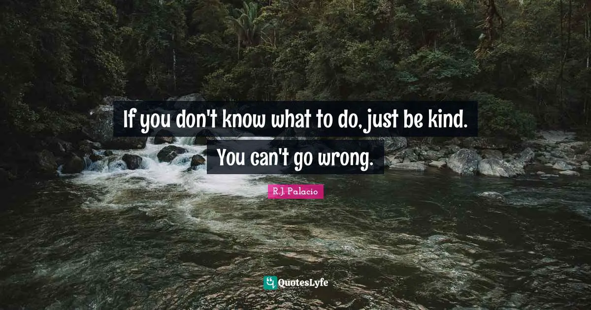 R.J. Palacio Quotes: "If you don't know what to do, just be kind. You can't go wrong."