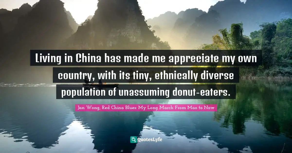 Living in China has made me appreciate my own country, with its tiny, ethnically diverse population of unassuming donut-eaters.