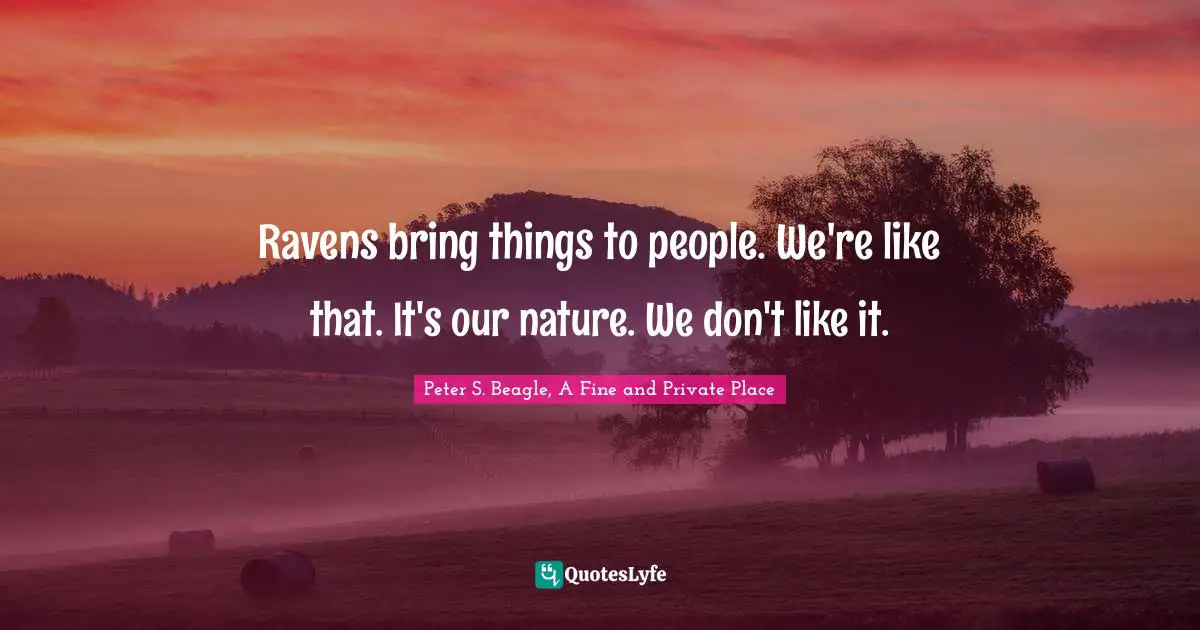 Peter S Beagle Quotes: "Ravens bring things to people. We're like that. It's our nature. We don't like it."
