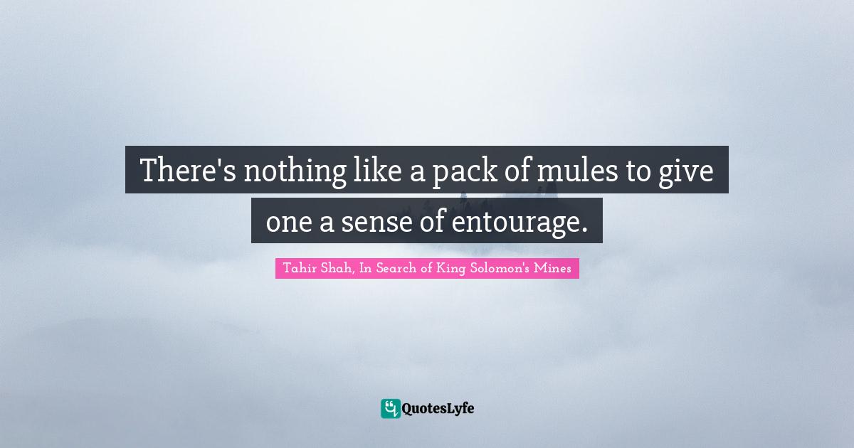 There's nothing like a pack of mules to give one a sense of entourage.