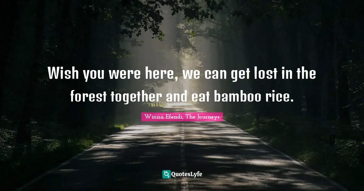Wish you were here, we can get lost in the forest together and eat bamboo rice.