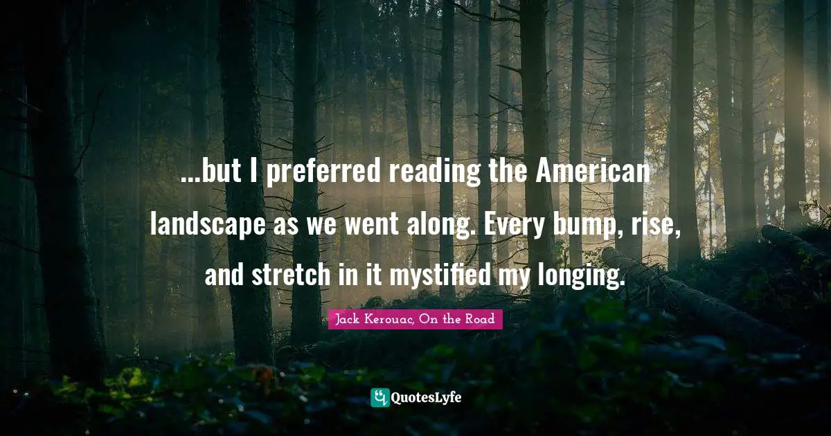 ...but I preferred reading the American landscape as we went along. Every bump, rise, and stretch in it mystified my longing.