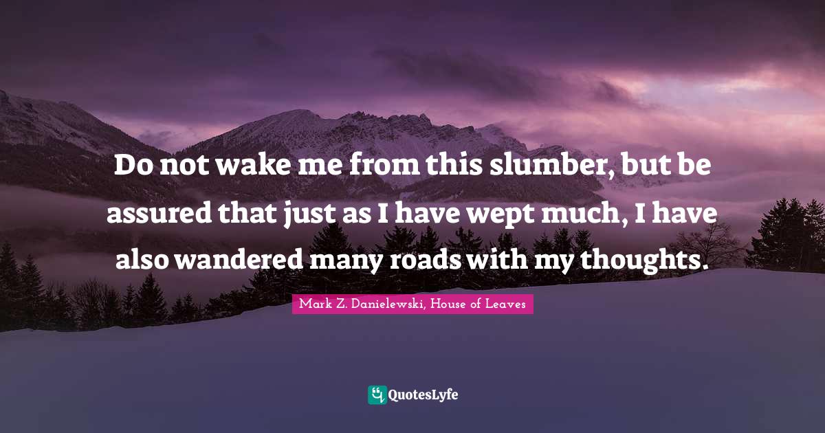 Do not wake me from this slumber, but be assured that just as I have wept much, I have also wandered many roads with my thoughts.