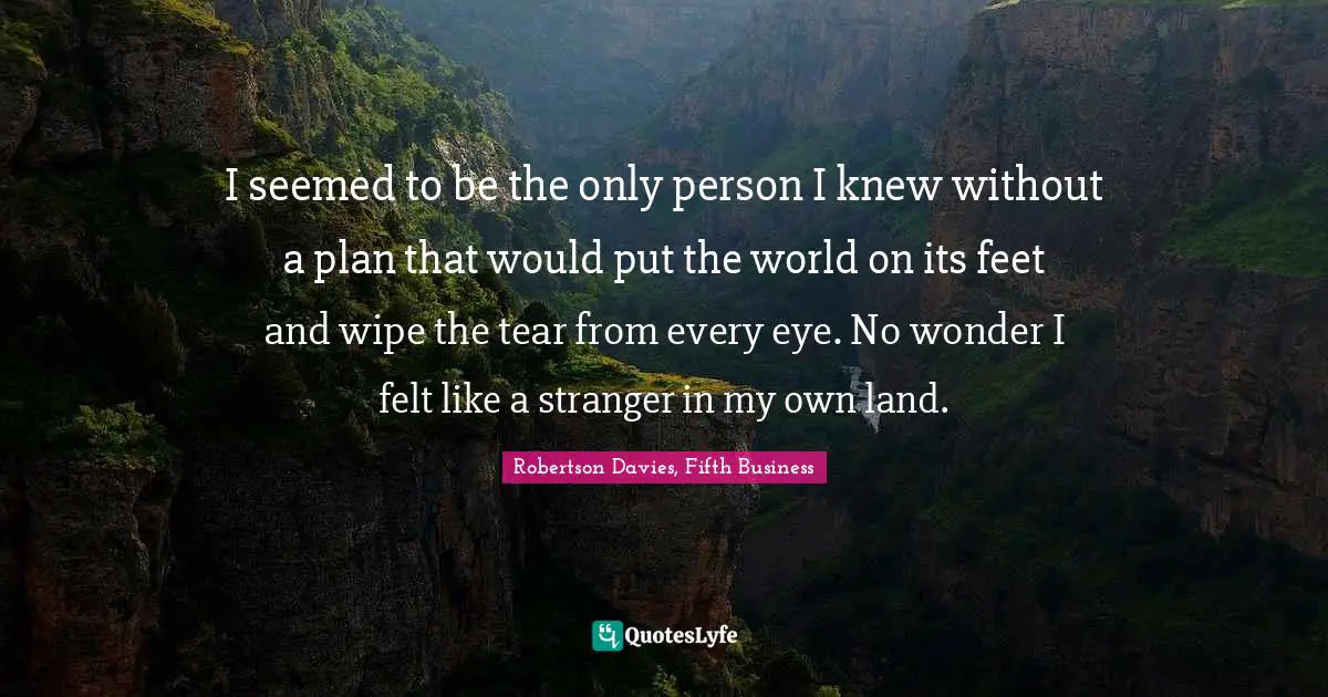 I seemed to be the only person I knew without a plan that would put the world on its feet and wipe the tear from every eye. No wonder I felt like a stranger in my own land.