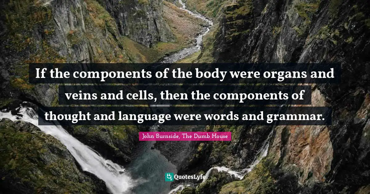If the components of the body were organs and veins and cells, then the components of thought and language were words and grammar.