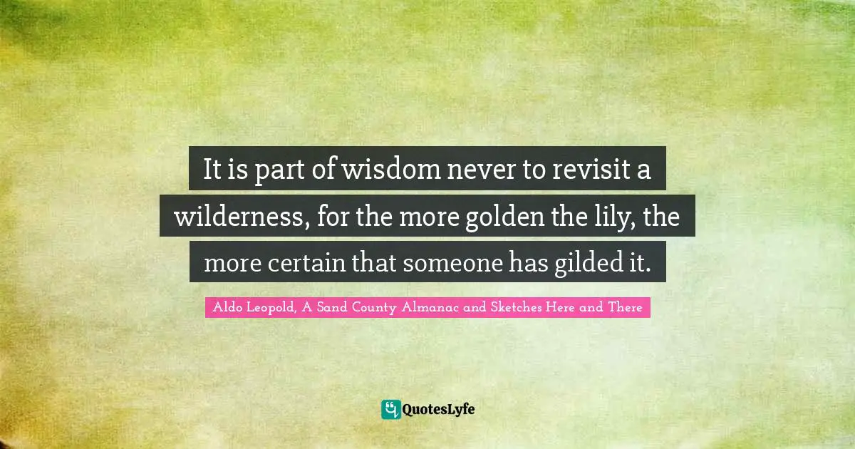 It is part of wisdom never to revisit a wilderness, for the more golden the lily, the more certain that someone has gilded it.