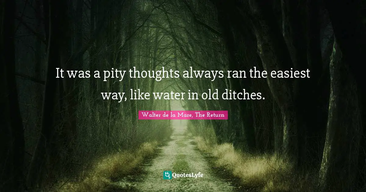It was a pity thoughts always ran the easiest way, like water in old ditches.