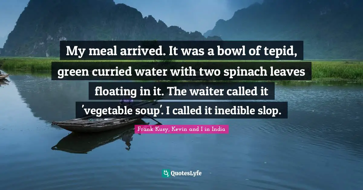 My meal arrived. It was a bowl of tepid, green curried water with two spinach leaves floating in it. The waiter called it 'vegetable soup'. I called it inedible slop.