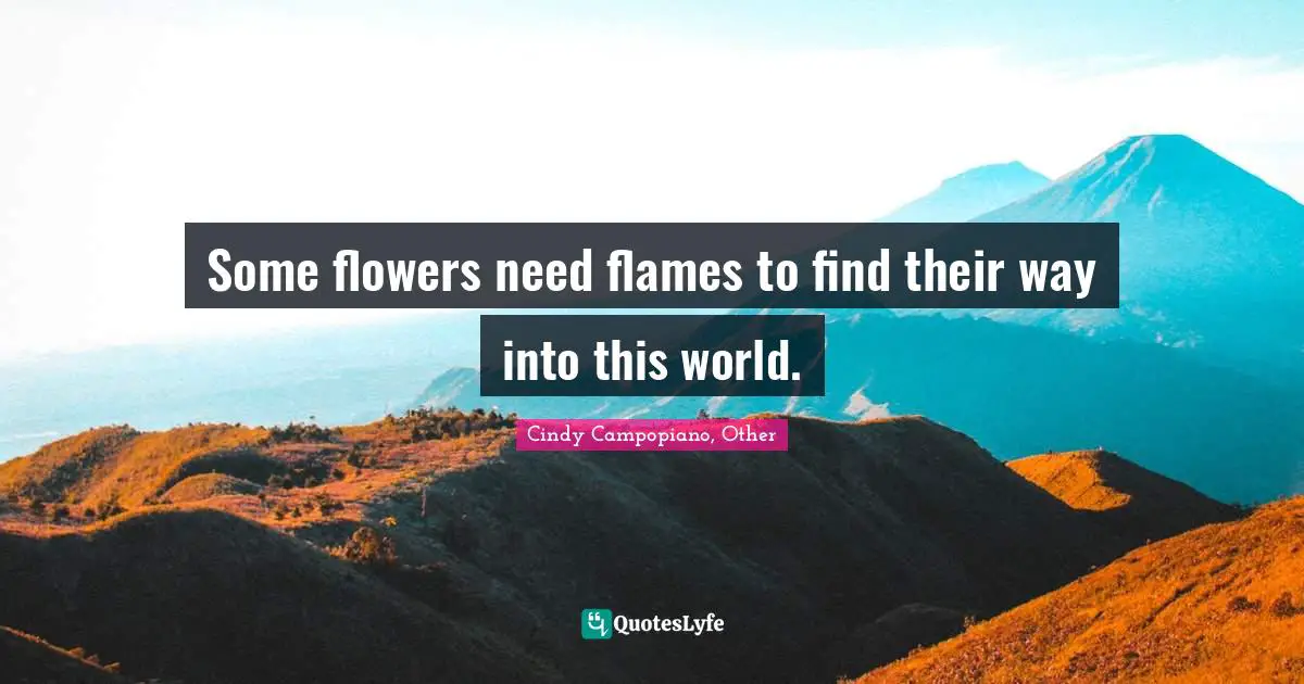 Some flowers need flames to find their way into this world.