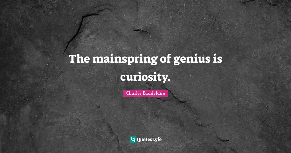 The mainspring of genius is curiosity.