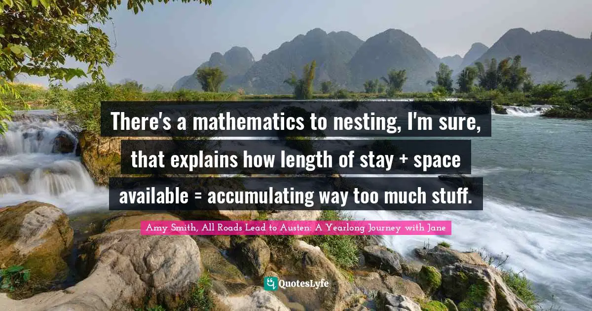 There's a mathematics to nesting, I'm sure, that explains how length of stay + space available = accumulating way too much stuff.
