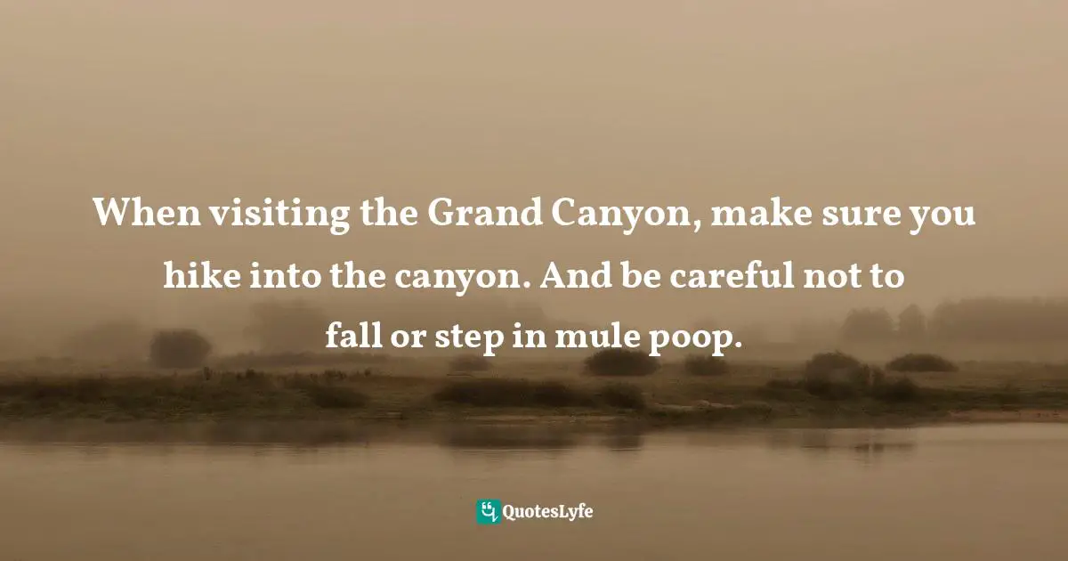When visiting the Grand Canyon, make sure you hike into the canyon. And be careful not to fall or step in mule poop.