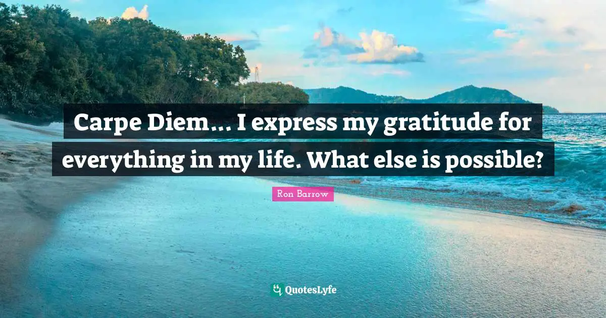 Carpe Diem... I express my gratitude for everything in my life. What else is possible?