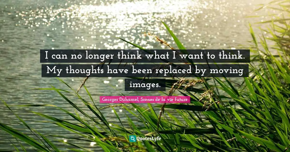 I can no longer think what I want to think. My thoughts have been replaced by moving images.