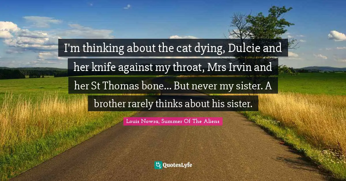 I'm thinking about the cat dying, Dulcie and her knife against my throat, Mrs Irvin and her St Thomas bone... But never my sister. A brother rarely thinks about his sister.