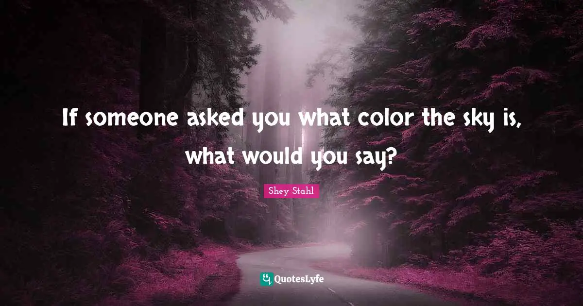 If someone asked you what color the sky is, what would you say?