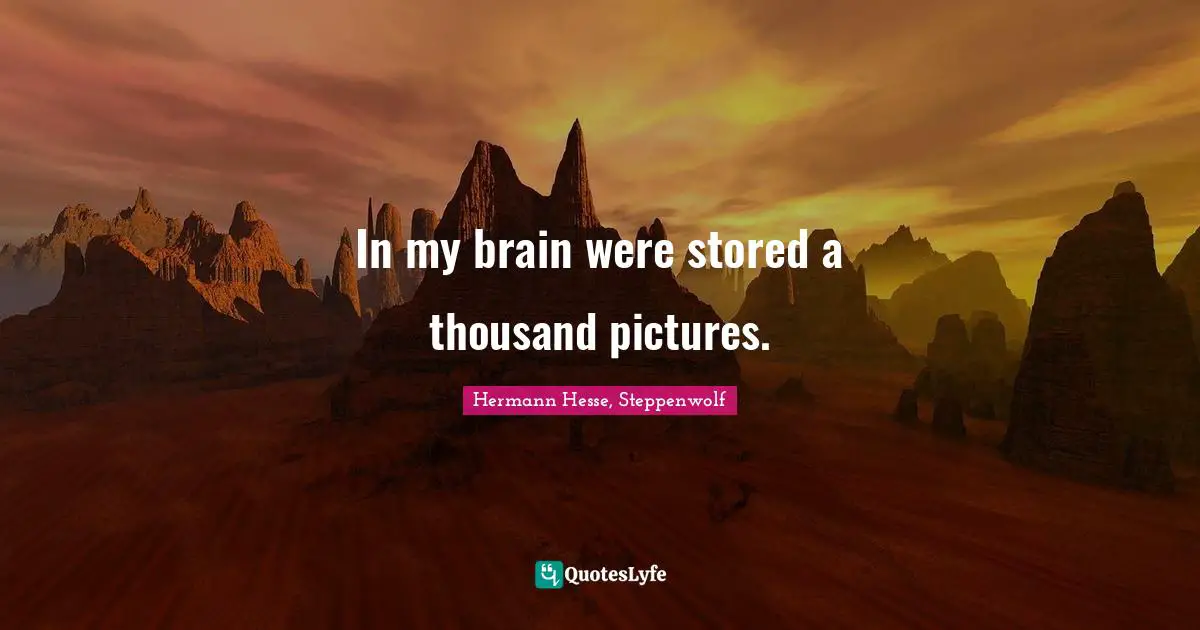 In my brain were stored a thousand pictures.