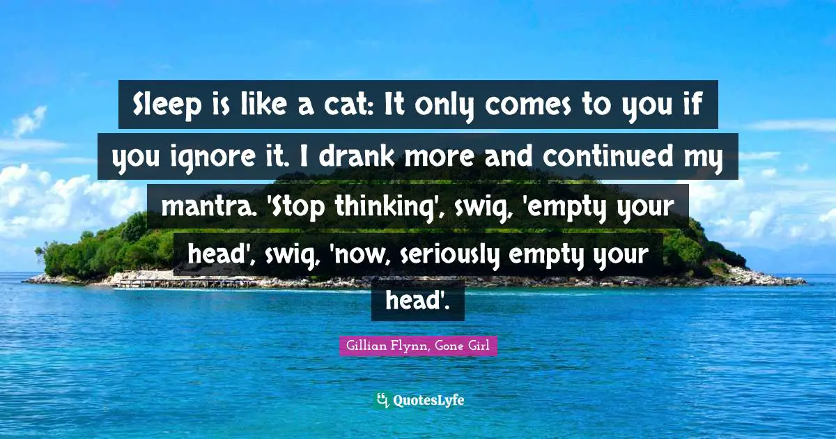 Sleep is like a cat: It only comes to you if you ignore it. I drank more and continued my mantra. 'Stop thinking', swig, 'empty your head', swig, 'now, seriously empty your head'.