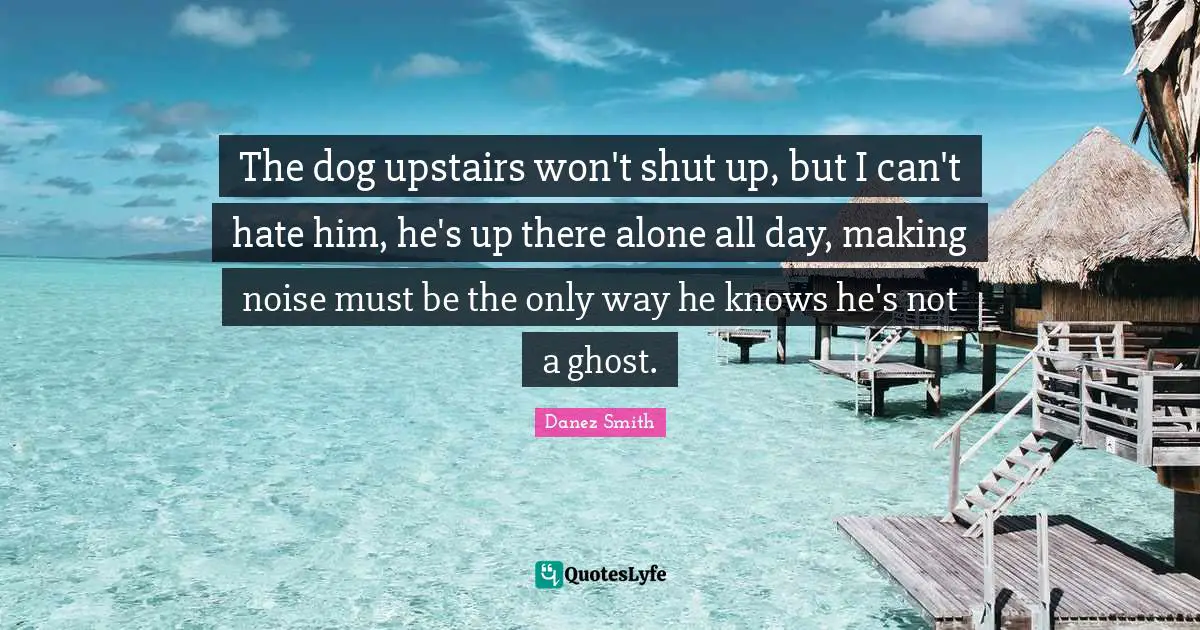 The dog upstairs won't shut up, but I can't hate him, he's up there alone all day, making noise must be the only way he knows he's not a ghost.