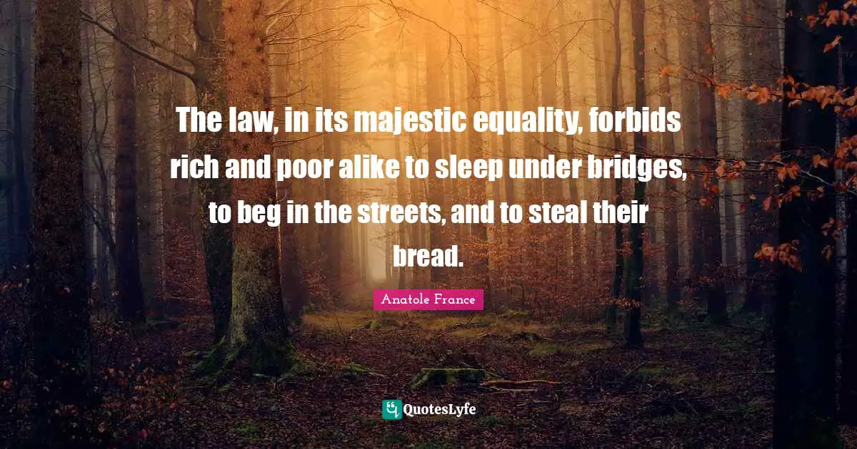 The law, in its majestic equality, forbids rich and poor alike to sleep under bridges, to beg in the streets, and to steal their bread.
