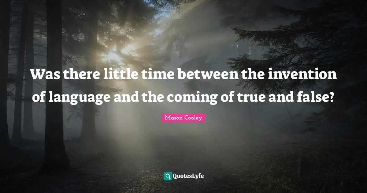 Was there little time between the invention of language and the coming of true and false?