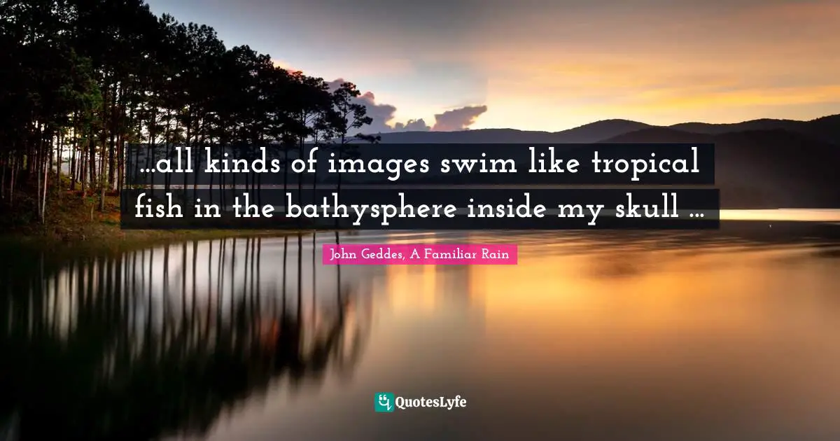 ...all kinds of images swim like tropical fish in the bathysphere inside my skull ...