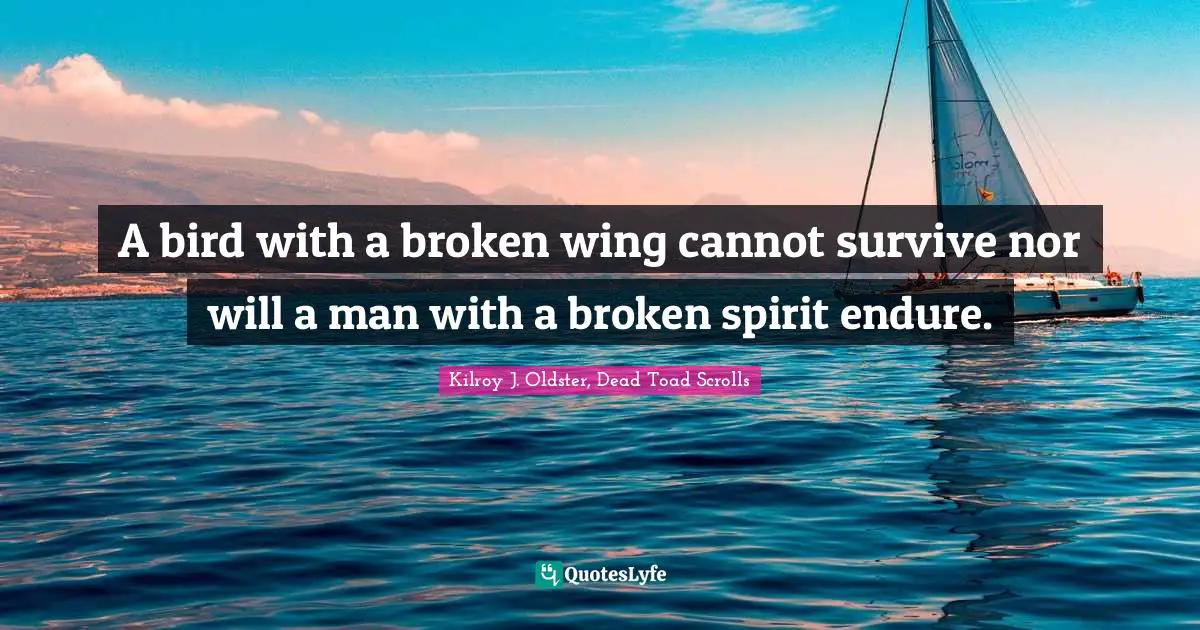 A bird with a broken wing cannot survive nor will a man with a broken spirit endure.