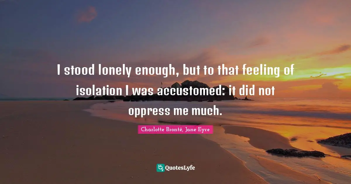 I stood lonely enough, but to that feeling of isolation I was accustomed: it did not oppress me much.