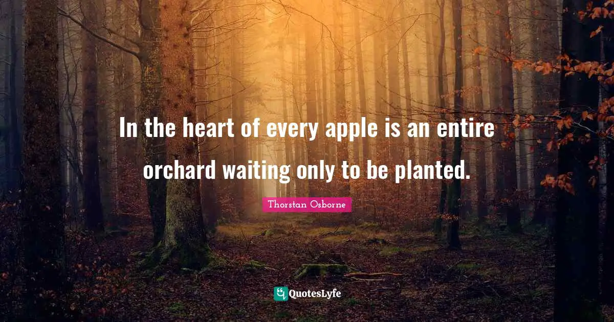 In the heart of every apple is an entire orchard waiting only to be planted.