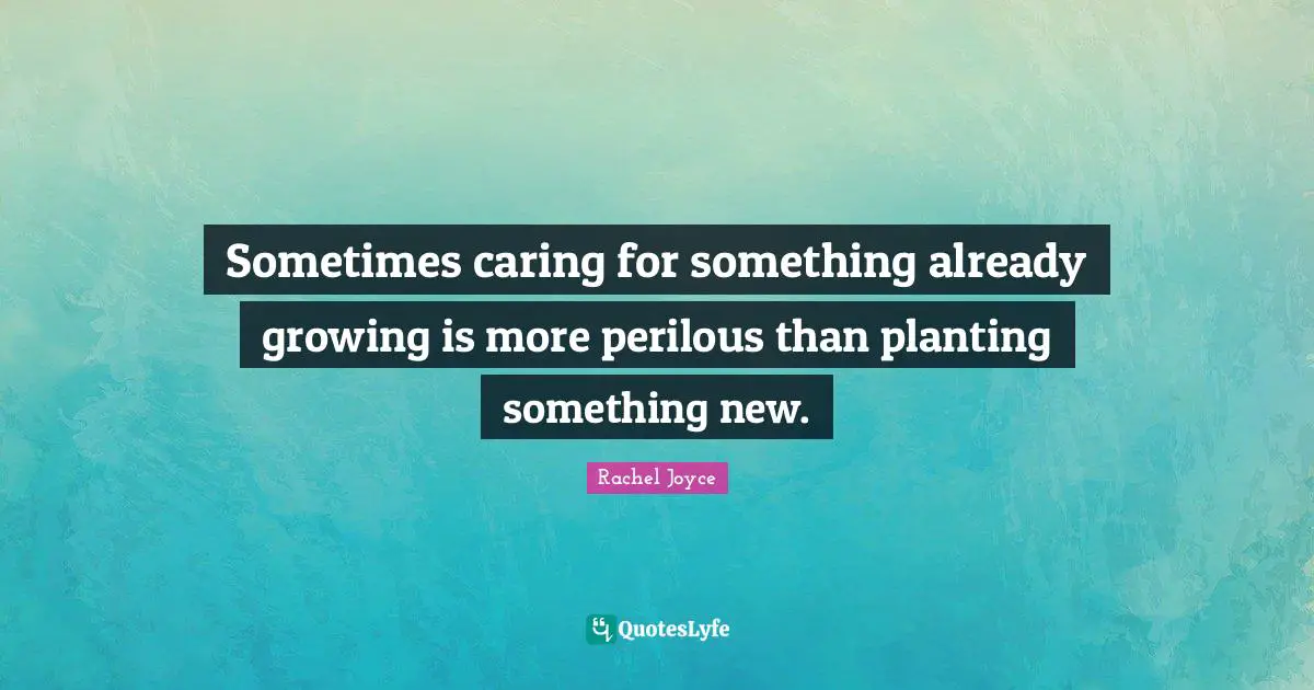 Sometimes caring for something already growing is more perilous than planting something new.