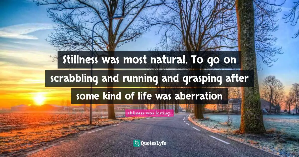 Stillness was most natural. To go on scrabbling and running and grasping after some kind of life was aberration