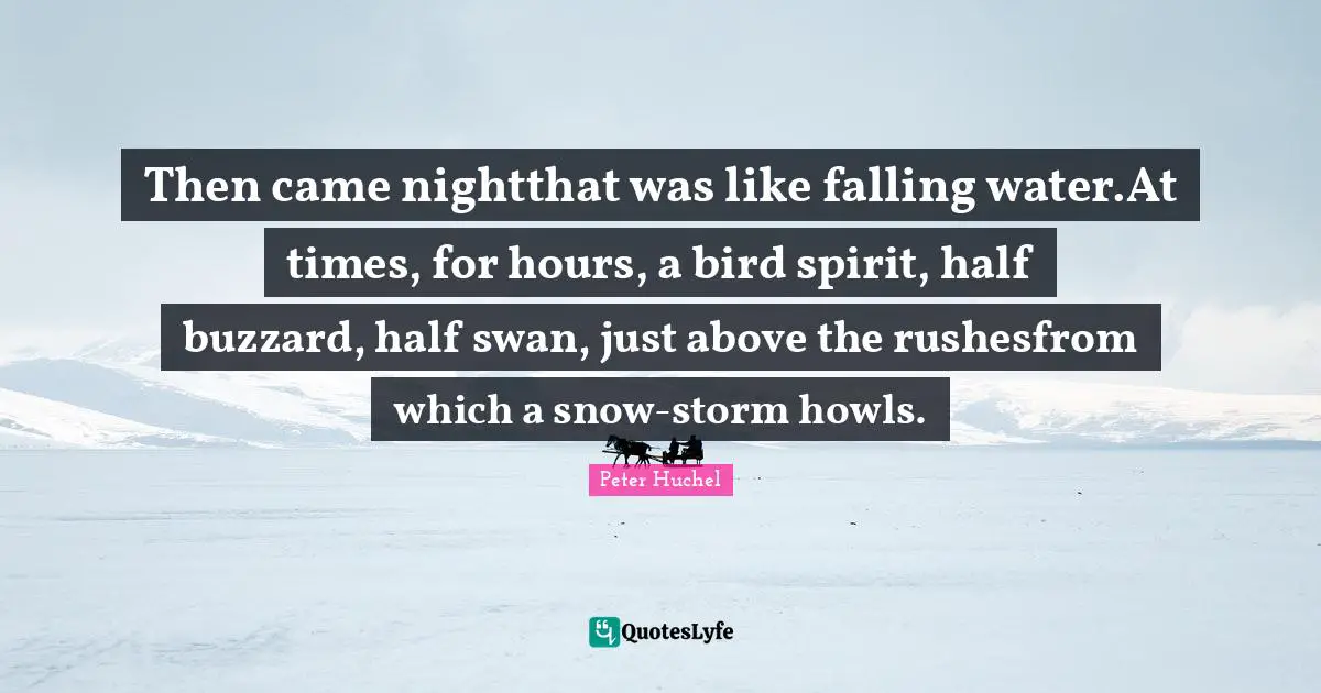 Then came nightthat was like falling water.At times, for hours, a bird spirit, half buzzard, half swan, just above the rushesfrom which a snow-storm howls.