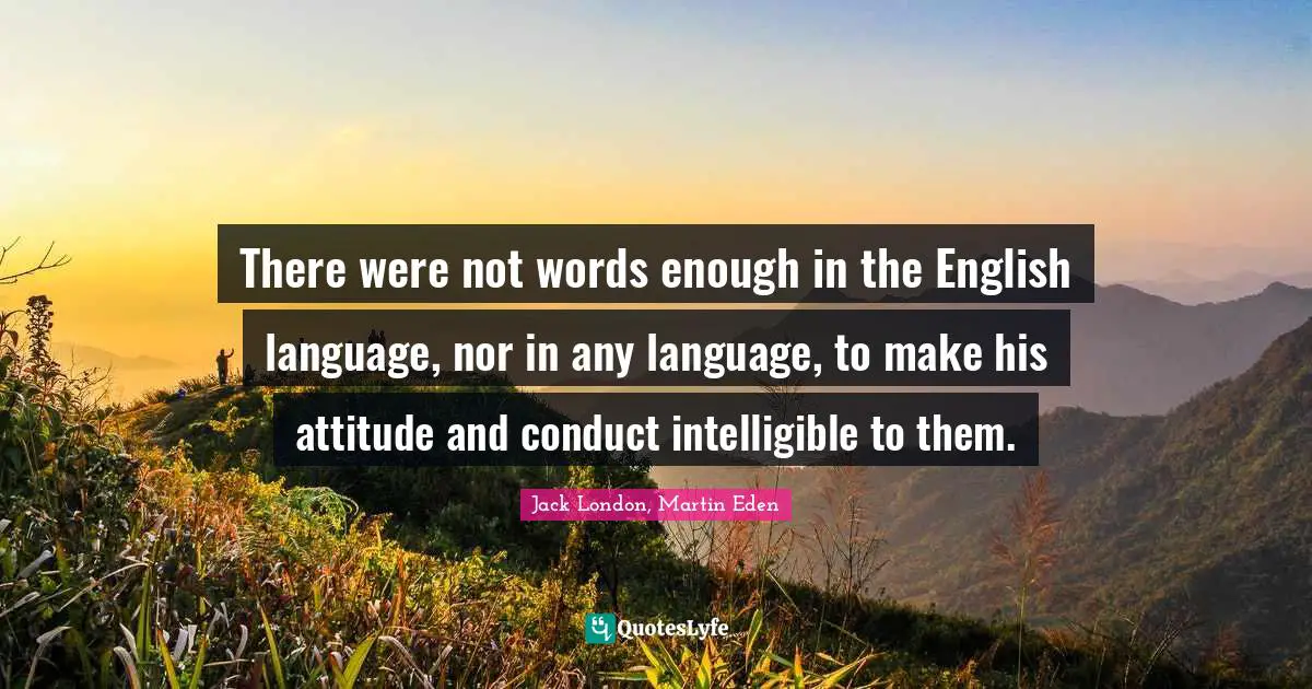 There were not words enough in the English language, nor in any language, to make his attitude and conduct intelligible to them.