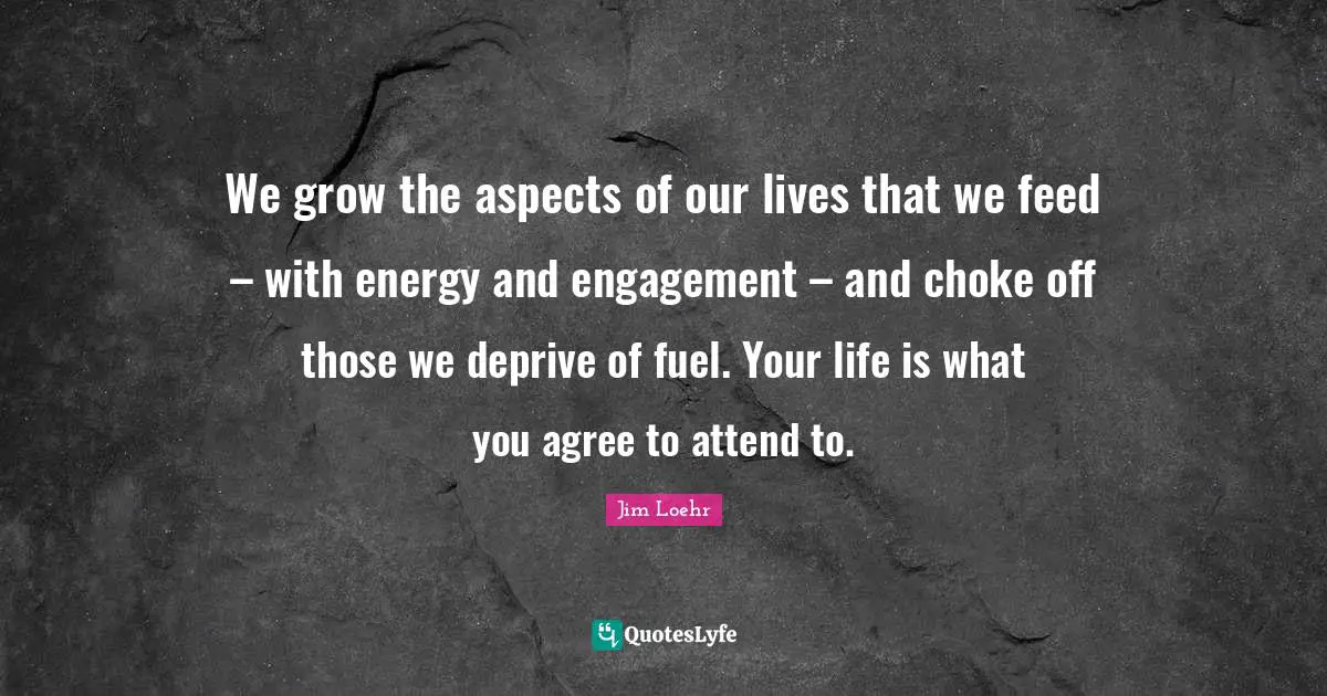 We grow the aspects of our lives that we feed – with energy and engagement – and choke off those we deprive of fuel. Your life is what you agree to attend to.
