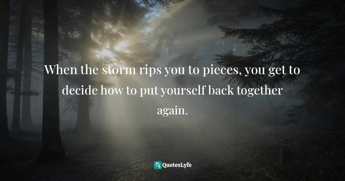 Bryant McGill, Simple Reminders: Inspiration For Living Your Best Life Quotes: "When the storm rips you to pieces, you get to decide how to put yourself back together again."