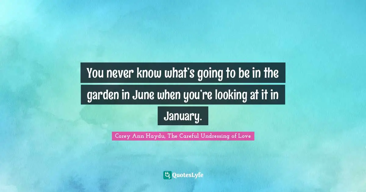 You never know what’s going to be in the garden in June when you’re looking at it in January.