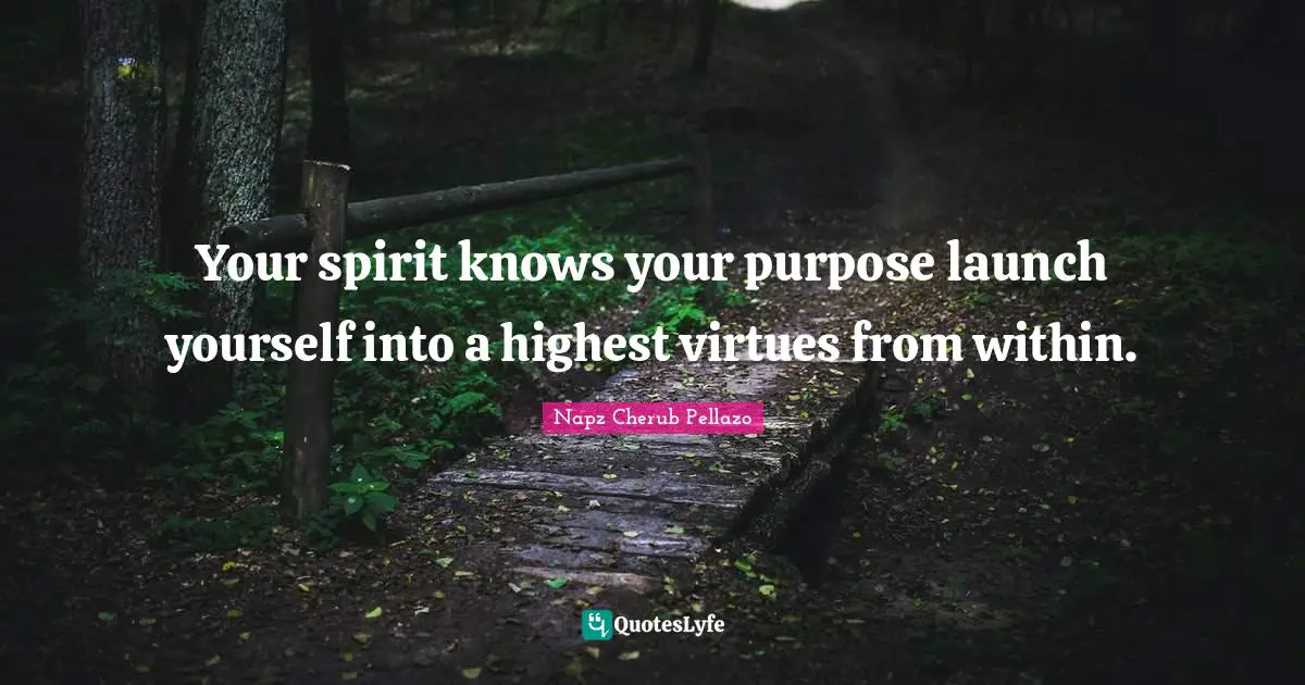 Your spirit knows your purpose launch yourself into a highest virtues from within.