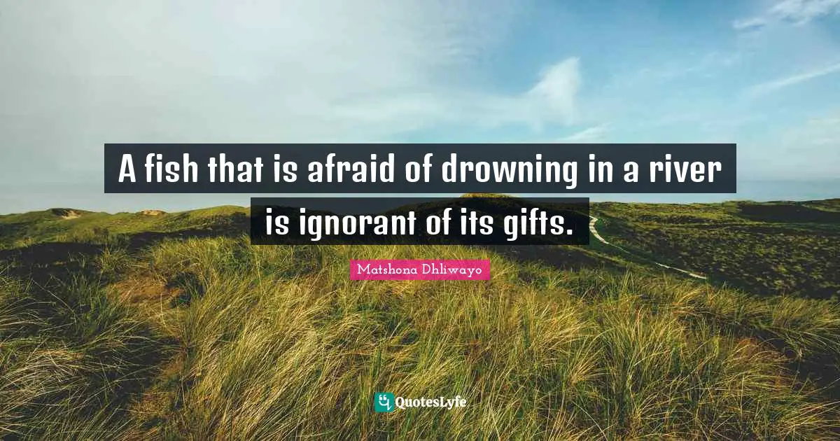 Matshona Dhliwayo Quotes: A fish that is afraid of drowning in a river is ignorant of its gifts.