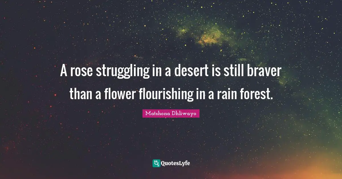 A rose struggling in a desert is still braver than a flower flourishing in a rain forest.