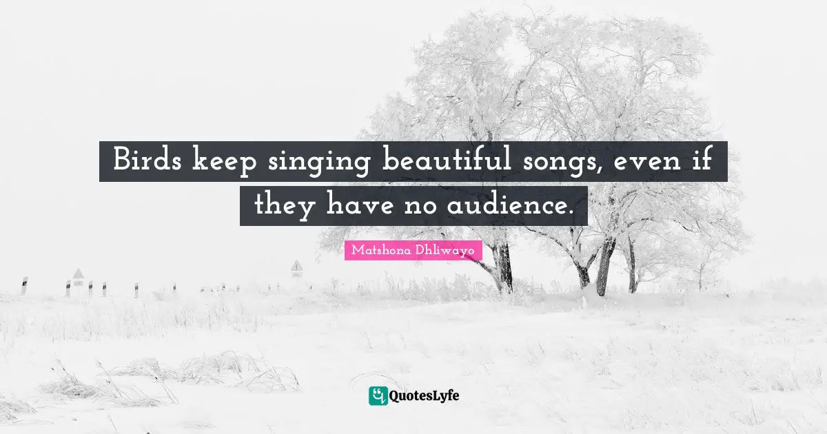 Matshona Dhliwayo Quotes: Birds keep singing beautiful songs, even if they have no audience.