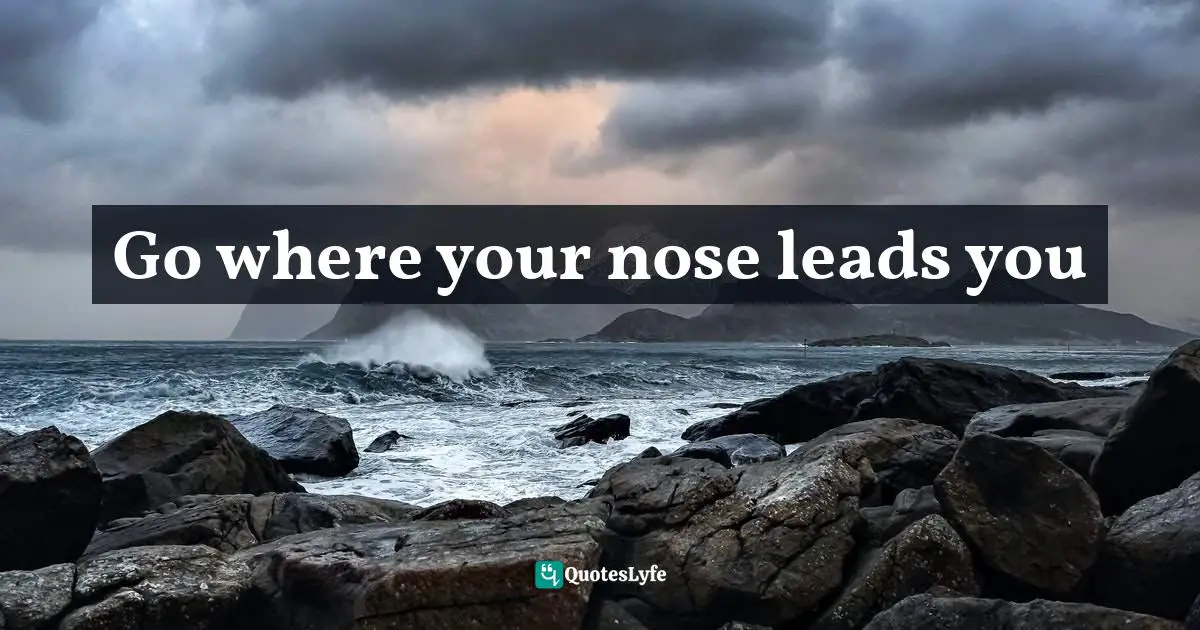 Go where your nose leads you