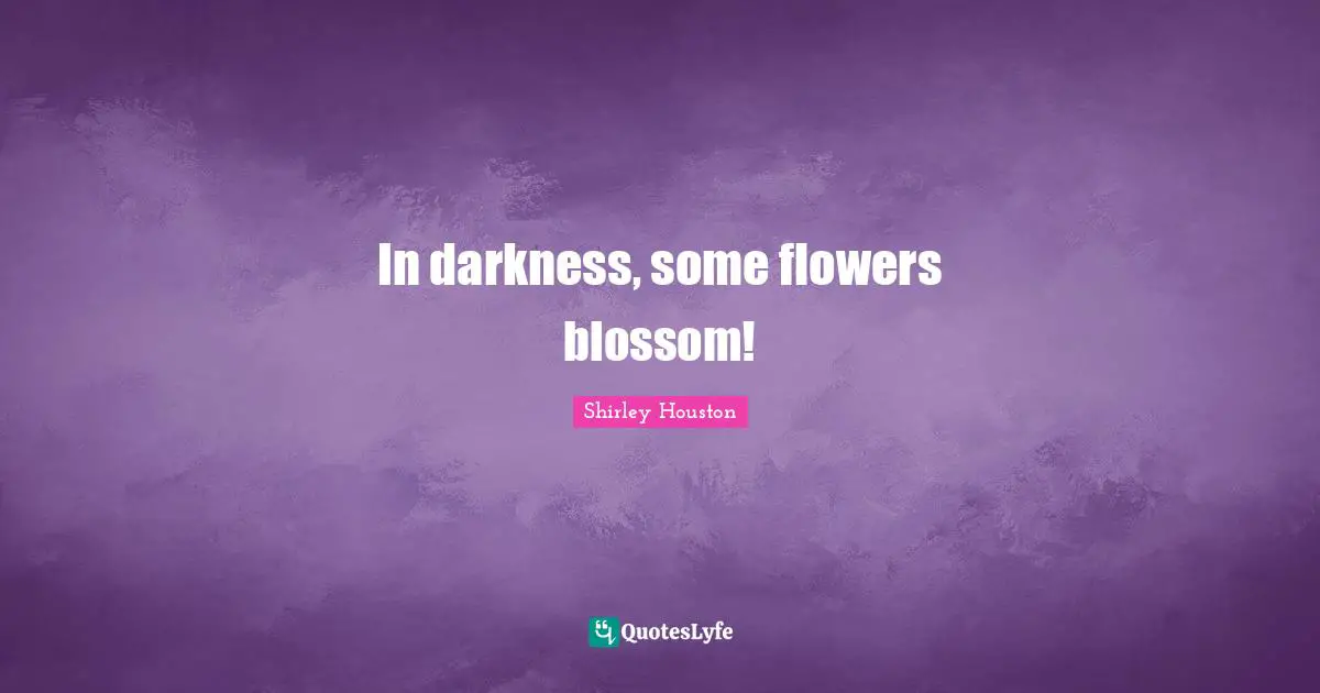 In darkness, some flowers blossom!
