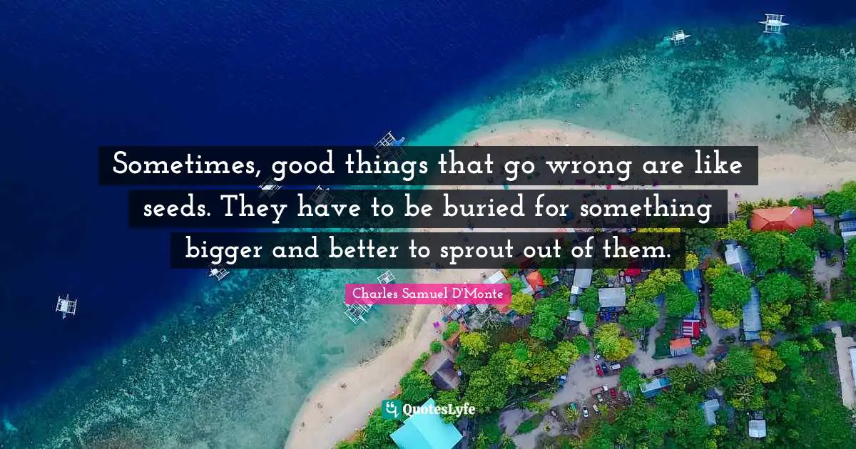 Sometimes, good things that go wrong are like seeds. They have to be buried for something bigger and better to sprout out of them.
