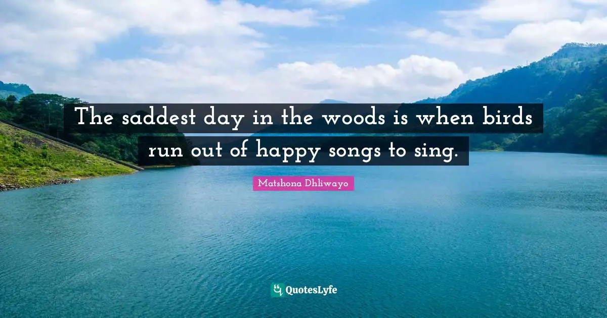 The saddest day in the woods is when birds run out of happy songs to sing.