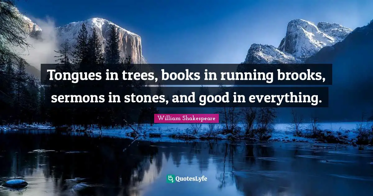 Tongues in trees, books in running brooks, sermons in stones, and good in everything.