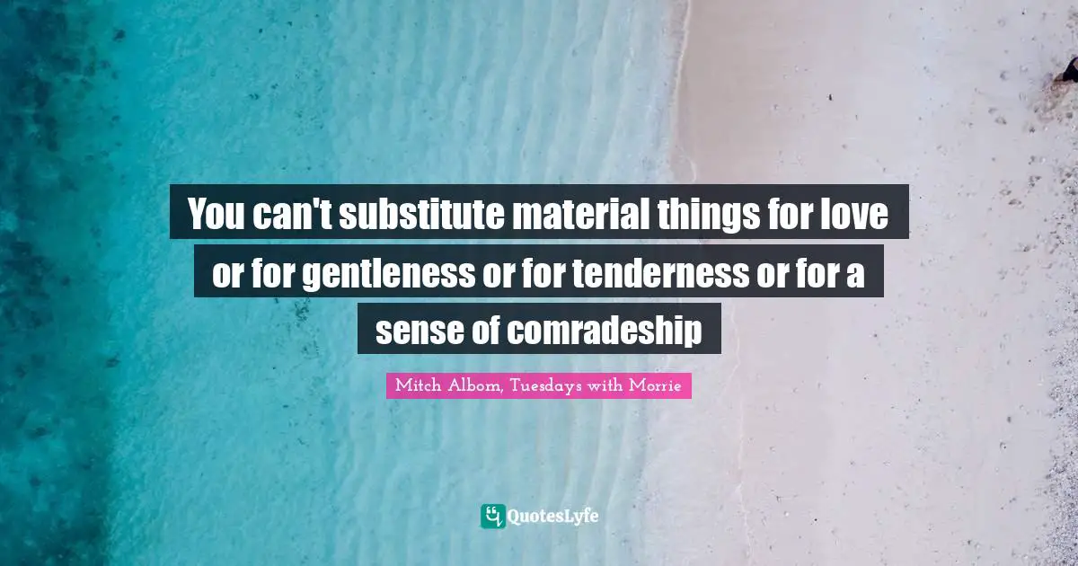 You can't substitute material things for love or for gentleness or for tenderness or for a sense of comradeship