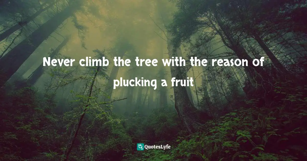 Never climb the tree with the reason of plucking a fruit