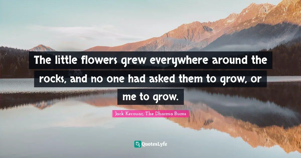 The little flowers grew everywhere around the rocks, and no one had asked them to grow, or me to grow.