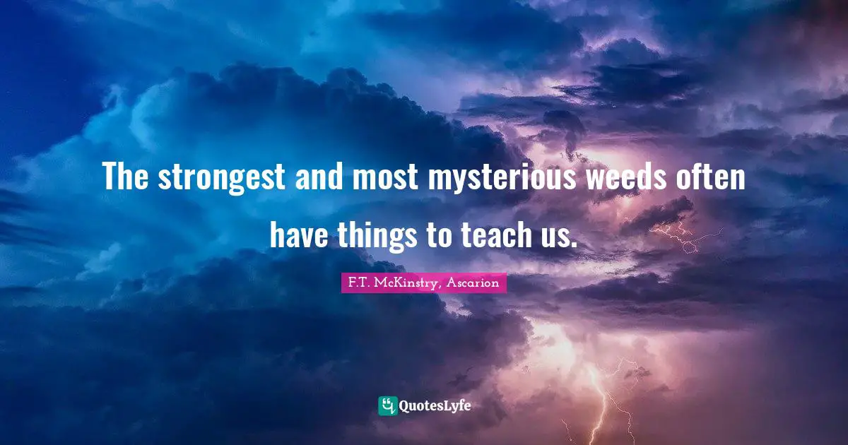 The strongest and most mysterious weeds often have things to teach us.